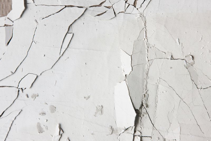 Interior Stucco Repair in Marin County, CA